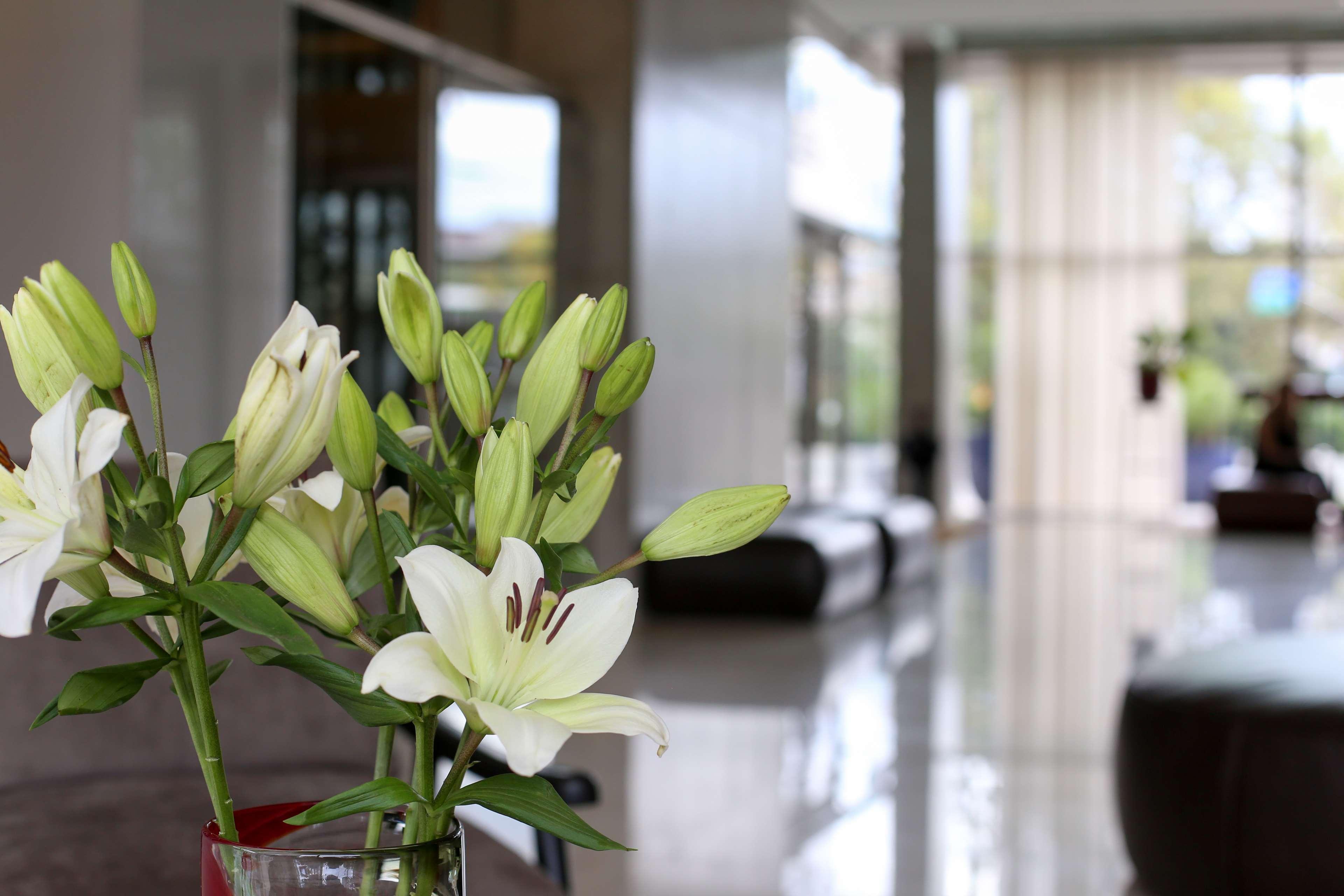 Dazzler By Wyndham Hotel 4*